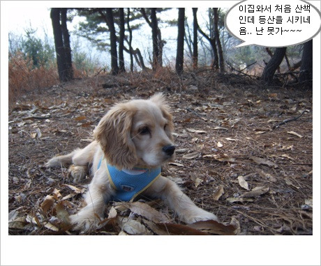 덩어리 이미지