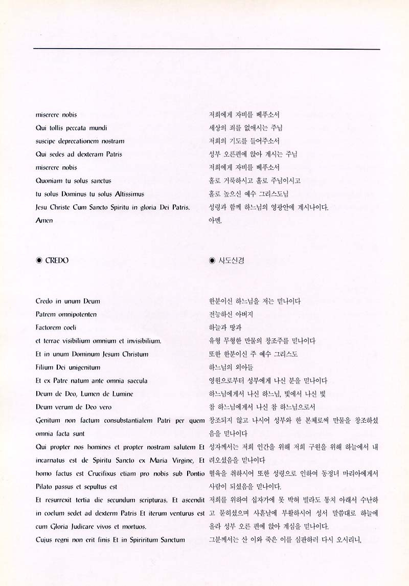 아마뚜스 이미지