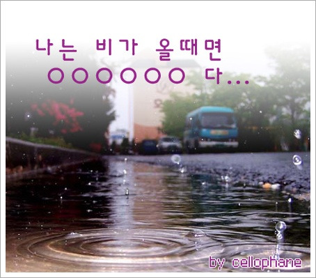 리플비 이미지