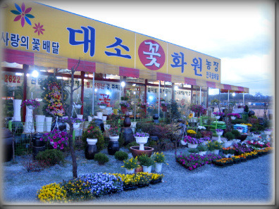 음성꽃화원 이미지