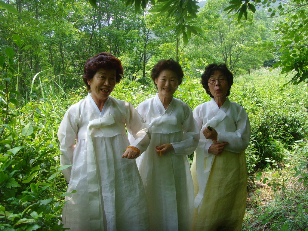 대각정 이미지