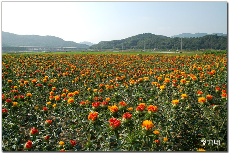 �̹����� Ŭ���ϸ� ������ ���� �� �ֽ��ϴ�.